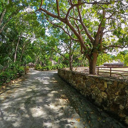 The Mayan Garden Orange Walk Exteriör bild