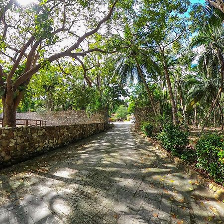 The Mayan Garden Orange Walk Exteriör bild