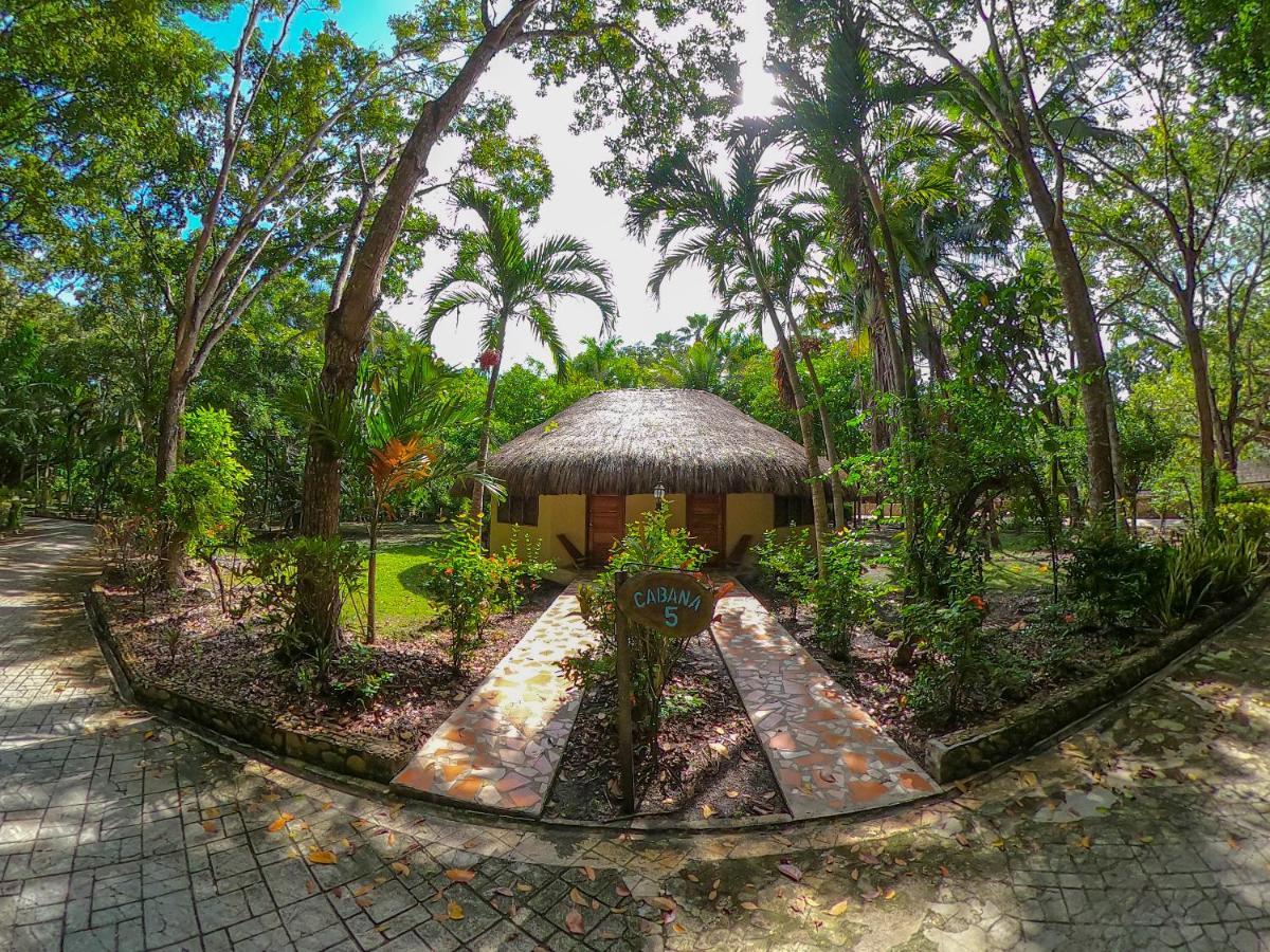 The Mayan Garden Orange Walk Exteriör bild