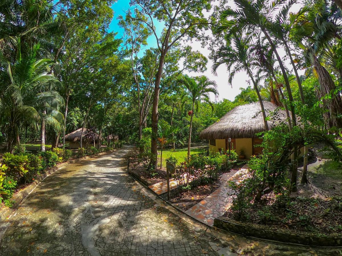 The Mayan Garden Orange Walk Exteriör bild