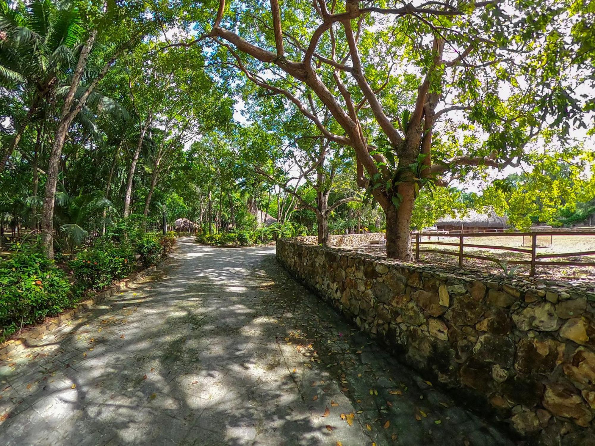The Mayan Garden Orange Walk Exteriör bild