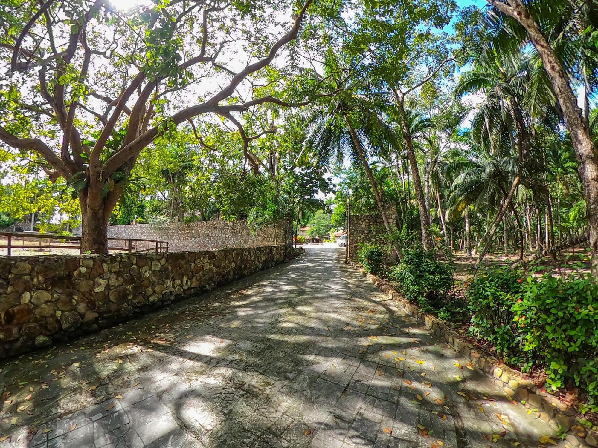 The Mayan Garden Orange Walk Exteriör bild