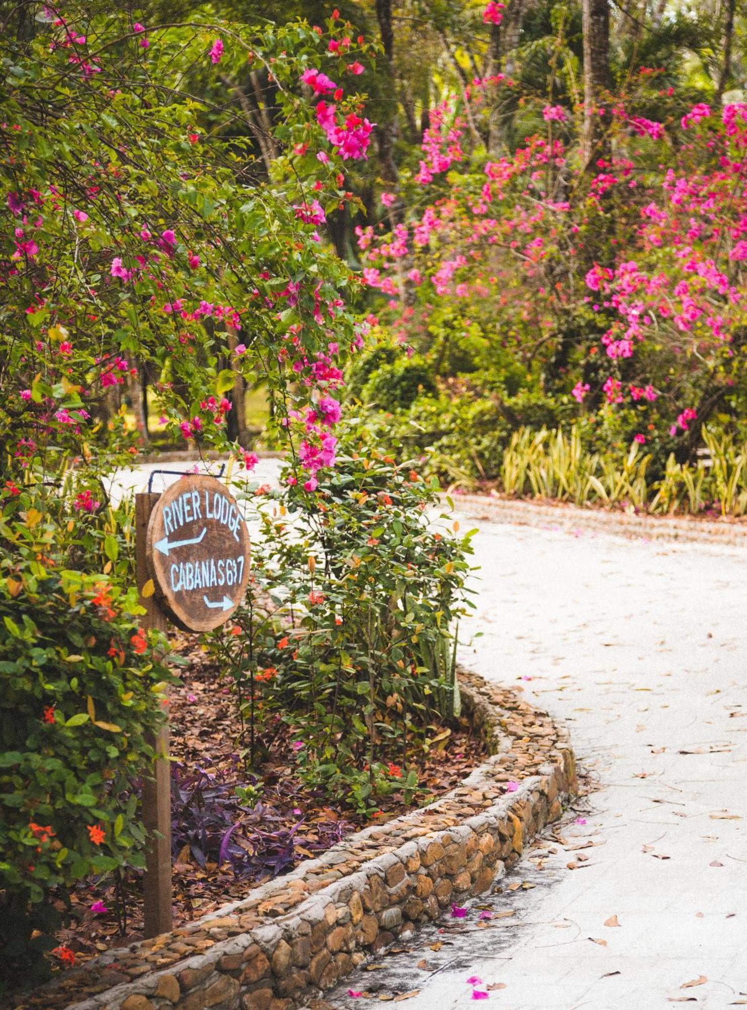 The Mayan Garden Orange Walk Exteriör bild